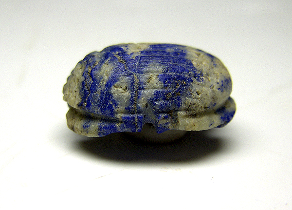 EG018-01